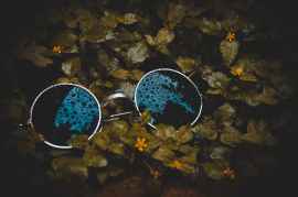 round grey framed black lens sunglasses on yellow petaled flower plants